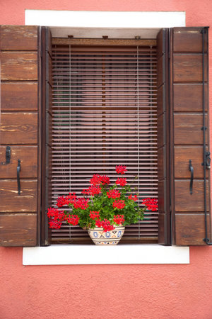 Old European Window / with flowers and wooden shuttersの写真素材