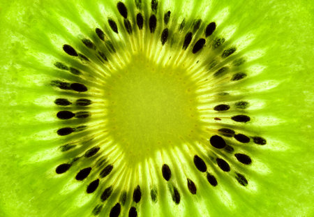 Fresh Kiwi background / SuperMacro / back litの写真素材