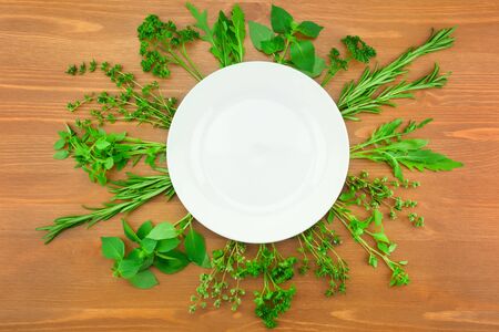 Fresh Herbs Collection as Border Around White Plate on Wooden texture / Vintage Style / with copy space for your textの写真素材