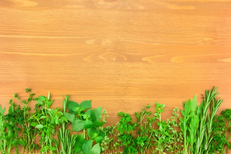 Border of Fresh  Herbs Collection on Vintage Wooden Table with copy spase for your textの写真素材