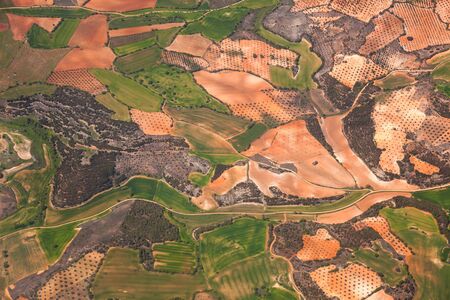 Aerial view of rural area   green fields and olive trees plantations   Spainの写真素材