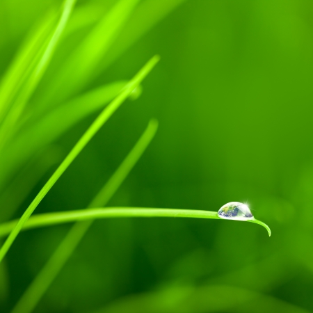 World into a Water Drop on Grass   macro   with copy spaceWorld imageの写真素材