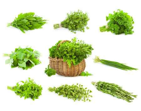 Big Set of Bunches and Basket  of fresh Spice Herbs /  Basil, Chive, Majoram, Oregano, Parsley, Thyme, Rucola and Rosemary /  isolated on white backgroundの写真素材
