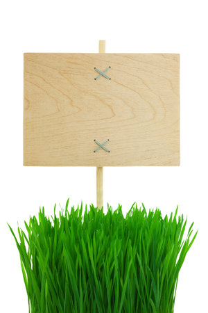 Empty wooden Sign with green Wheat Grass   isolated on white の写真素材