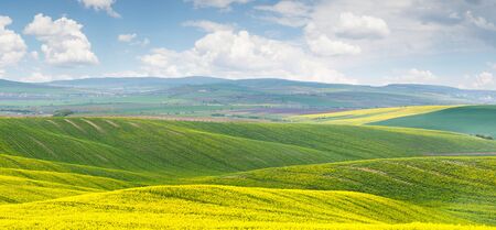 Panoramic  of colorful yellow-green hills with blue sky and clouds - big sizeの写真素材