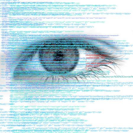Web Computer Code with Human Eye Abstract Background - big sizeの写真素材