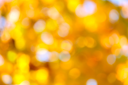 Autumn abstract, fall season colors  background with a magic lights, out of focusの写真素材