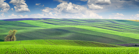 Wonderful panoramic view of colorful and striped hills, beautiful valley, long big sizeの写真素材