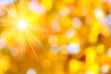 Autumn abstract, fall season colors  background with a magic sun lights, out of focusの写真素材