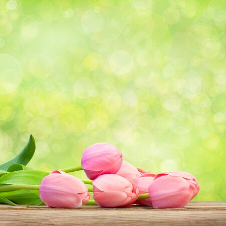 Bouquet of  Beautiful  Pink Tulips on green defocused holiday background, big sizeの写真素材