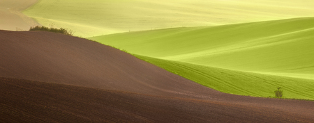Beautiful countryside panoramic landscape at spring time - agricultural colorful fieldsの写真素材
