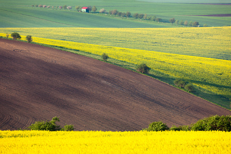 Idyllic colorful fields landscape - countryside hills backgroundの写真素材