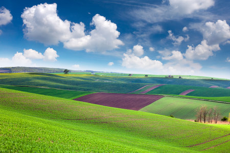 Colorful Landscape of spring fields background - different colors of hills and blue skyの写真素材