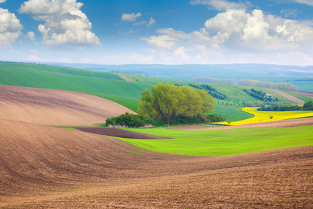Spring Colorful Fields and Sky Background - beautiful nature landscape, idillyc waves of hills, wallpaperの写真素材