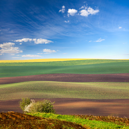 Original Lanscape of Colorful fields in beautiful striped hills in minimalism styleの写真素材