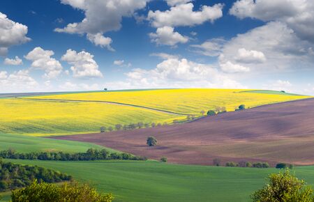 Wonderful Landscape of fields in beautiful colorful green, yellow and  brown hills, Czech Republic,...