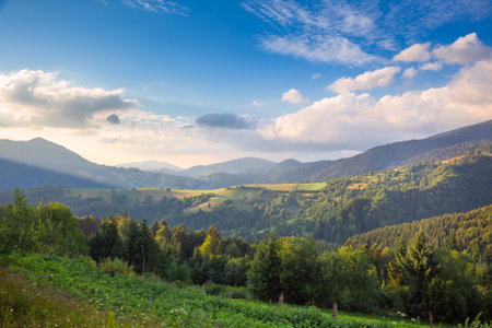 Summer day in The Mountain Valley, beautiful nature,  Carpathian, Ukraine, Europeの写真素材