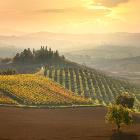 Beautiful rural landscape - Early morning on countryside, San Quirico d?'Orcia, Tuscany, Italy, Europeの写真素材