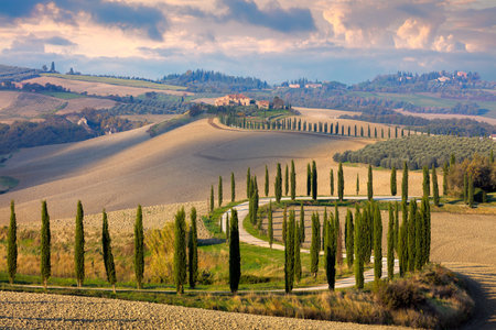 Landscape of hills, country road, cypresses trees and rural houses - Tuscany nature, rural Italy, Europeの写真素材