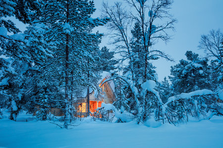 Winter fairy night - wooden cottage with warm light in blue snowy forest, silent winter weather. Seasonal landscapeの写真素材