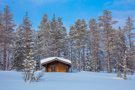 Winter forest Landscape after blizzard with small wooden lodge, big trees covered snow, beautiful winter weatherのeditorial素材