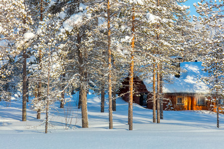 North Winter forest Landscape with small wooden lodge, big trees covered snow, Finland, Laplandのeditorial素材