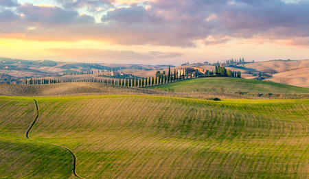 Majestic Panoramic view of typical Tuscany countryside nature landscape. Beautiful hills at the sunrise time, cypresses, fields and rural road. Italy, Europeのeditorial素材