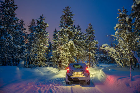 Winter Landscape with car - Driving at night - Lights of car and winter snowy road in dark forest, big fir trees covered snowの写真素材