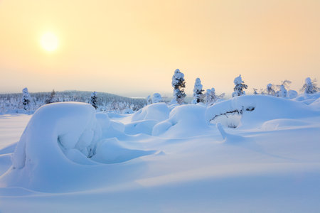  Big Snow Winter Sunset Landscape - snow covered pine trees and big snowbanks, hills valley - wallpaperの写真素材