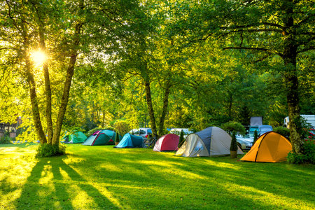 Tents Camping area, early morning with sunshine, beautiful natural place with big trees and green grass, Europeの写真素材