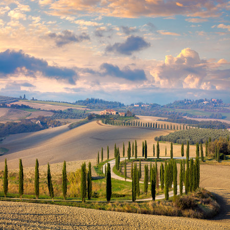 Beautiful landscape of hills, country road, cypresses trees and rural houses - Tuscany nature, Italy, Europeの写真素材
