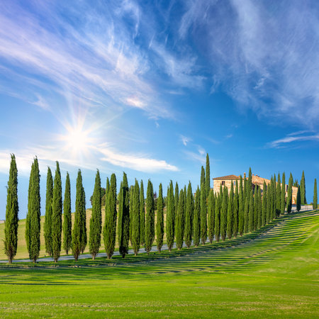 Sunny landscape background of Tuscany countryside road with cypresses trees,  green grass and blue sky with sun - idyllic picturesque wallpaper, Italy, Europeの写真素材
