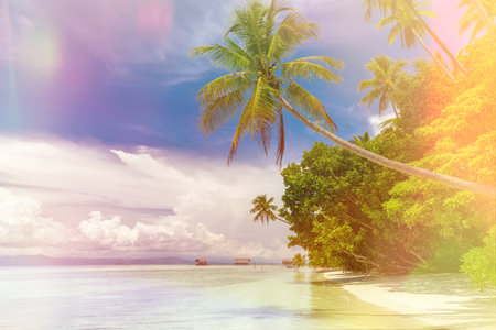 Background of Idyllic Island -  landscape of tropical beach - calm ocean, palm trees, blue sky and nobody. Big sizeの写真素材