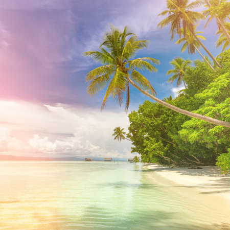 Paradise background landscape of tropical island - calm ocean waves, palm trees, blue sky with white clouds and nobodyの写真素材
