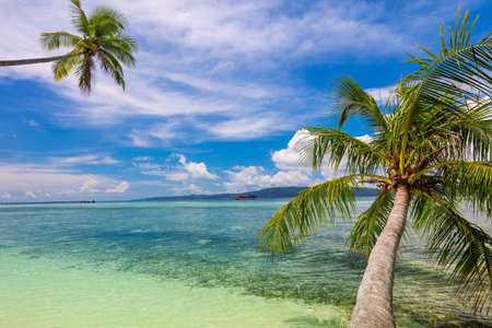 Paradise Tropical Beach background - calm sea surf, palm trees and blue sky - Idyllic tropical rest on island coastの写真素材