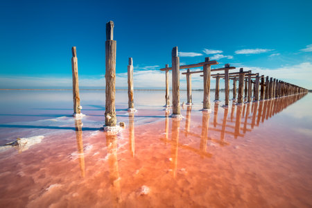 Amazing Real pink color salt lake and deep blue sky minimalistic natural landscapeの写真素材