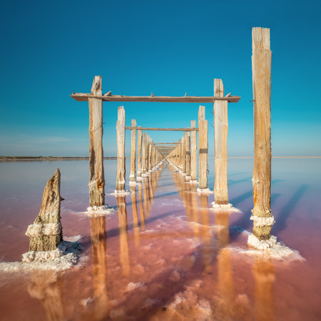 Amazing minimalistic landscape if real pink salt lake and natural salt, big size for big modern printの写真素材