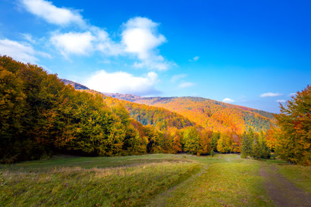 Mountains hills and valley landscape - autumn colorful seasonの写真素材