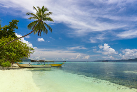 Tropical beach with coconut palm, white sand and turquoise water. Two local boats on island coast, beautiful sky with clouds. Indonesian islandsの写真素材