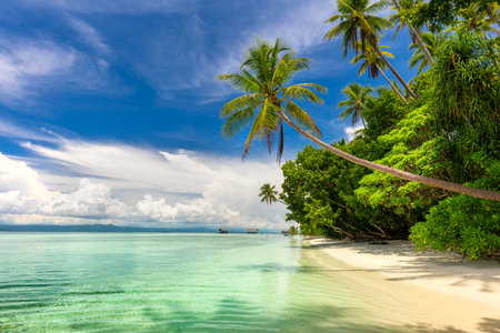 Paradise landscape of tropical beach - calm ocean waves, palm trees, blue sky with white clouds and nobodyの写真素材