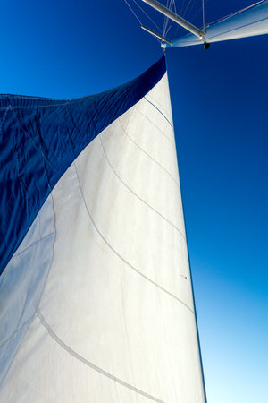 Concept view of Sailing yacht catamaran sailing in the sea. Sailboat.の写真素材