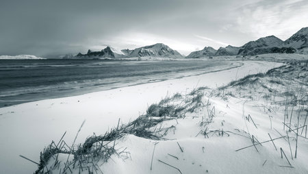 Black and white northern landscape. Panoramic views of the sea coast and mountains. Lofoten Islands, Norway, Europeの写真素材