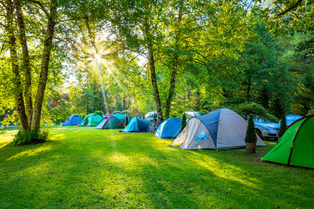 Tents Camping area at early sunny morning, beautiful natural place with big trees and green grassの写真素材