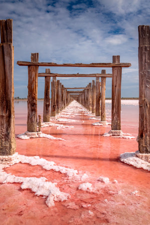 Pink color of salt lake and deep blue sky, minimalistic natural landscape, Ukraine travel background. Miracle of natureの写真素材