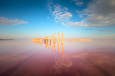 Morning gentle landscape of pink salt lake with reflections. Real shot of unique natural landscape, Ukraine. Long exposure. Summer seasonの写真素材