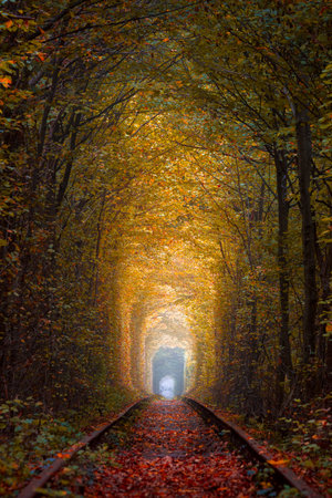 Dark Autumn Trees Tunnel with old railway - Tunnel of Love. Natural tunnel of love formed by trees. Ukraineの写真素材