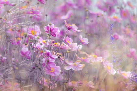 Vintage style - Natural background - Delicate autumn flowers background.の写真素材