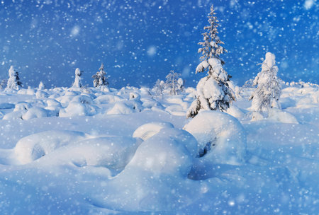 Wonderful Panoramic Landscape of Northern Winter Nature - a lot of snow and snow covered treesの写真素材