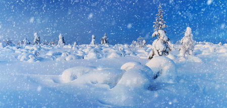 Wonderful Panoramic Landscape of Northern Winter Nature - a lot of snow and snow covered trees, beautiful snowy weather landscapeの写真素材