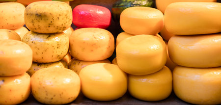 An abundance of cheese. Fresh cheese heads are ready to eat. Healthy food, vegetarian food. Cheese backgroundの写真素材